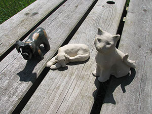 Au grès des saisons | Galerie photo Au grès des saisons | Galerie photo