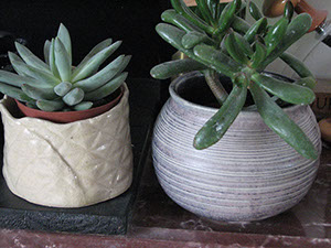 Au grès des saisons | Galerie photo Au grès des saisons | Galerie photo