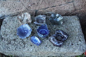 Au grès des saisons | Galerie photo Au grès des saisons | Galerie photo