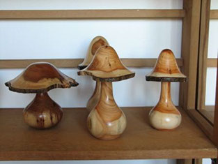 Au grès des saisons | Galerie photo Au grès des saisons | Galerie photo